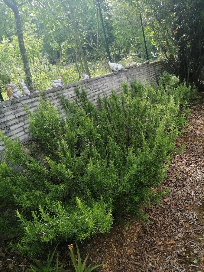 Apartments With A Parking Space Dramalj, Crikvenica - 5592 Zewnętrze zdjęcie